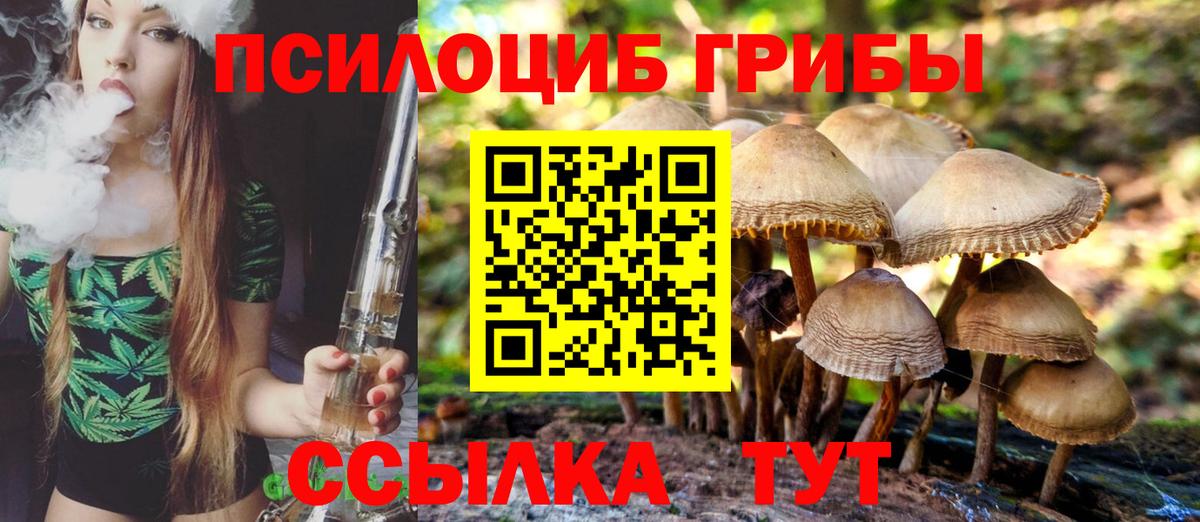 Галлюциногенные грибы MAGIC MUSHROOMS  Вход с VPN  Шахты 